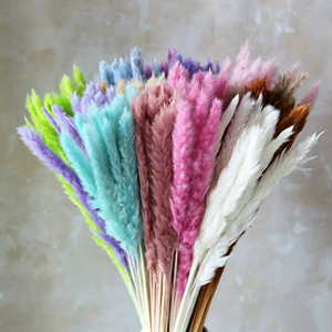 Les fleurs <span class=keywords><strong>de</strong></span> roseaux préservées les plus vendues, petite <span class=keywords><strong>herbe</strong></span> <span class=keywords><strong>de</strong></span> la <span class=keywords><strong>pampa</strong></span> pour les arrangements floraux <span class=keywords><strong>de</strong></span> remise <span class=keywords><strong>de</strong></span> diplôme, <span class=keywords><strong>de</strong></span> Noël, <span class=keywords><strong>de</strong></span> Thanksgiving et <span class=keywords><strong>de</strong></span> mariage - Product Image 2