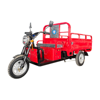 Tricycle électrique antidéflagrant GYPEX 1000W 60V pour le transport de matières premières, de produits semi-finis, d'atelier