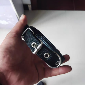 कुत्ते के हार पालतू चोकर नरम फोम के साथ नायलॉन सामग्री से बना एक नरम फोम - Product Image 2