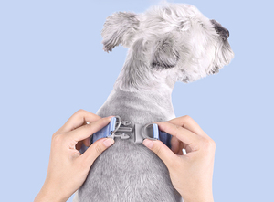 Disesuaikan grosir hewan peliharaan anjing luar ruangan <span class=keywords><strong>Harness</strong></span> X berbentuk musim panas sejuk dapat disesuaikan lembut indah nilon <span class=keywords><strong>Harness</strong></span> untuk anjing - Product Image 4