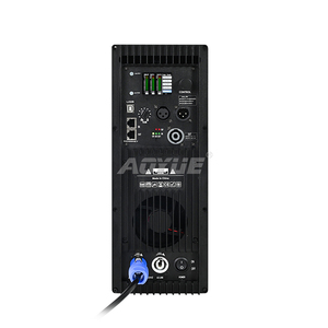 Dm10.5 Chuyên Nghiệp Loa Hoạt Động Khuếch Đại Class D 1000W + 500W Hệ Thống Âm Thanh Hội Đồng Quản Trị Với DSP Điều Khiển - Product Image 3