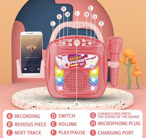 Micrófono Musical de Bajo Precio, Nuevo Juego de Juguetes para Bebés y Niños, Juego de Instrumentos Musicales Mini de Plástico para Niños, Funciona con Pilas - Product Image 2