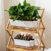 Pots à plantes succulentes blancs durables avec plateau, en plastique transparent respirant, auto-absorbants, pour culture hydroponique, décoration