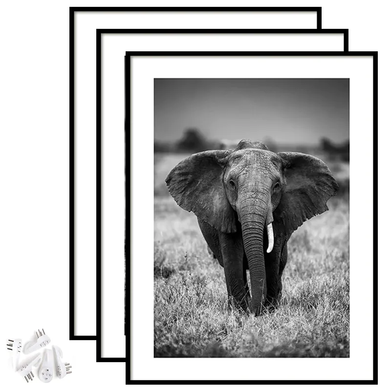 A4 Size Black Wall Hanging Art Photo Frame Print Picture Frame, Certificate Frame, Freestanding and Wall Mountable