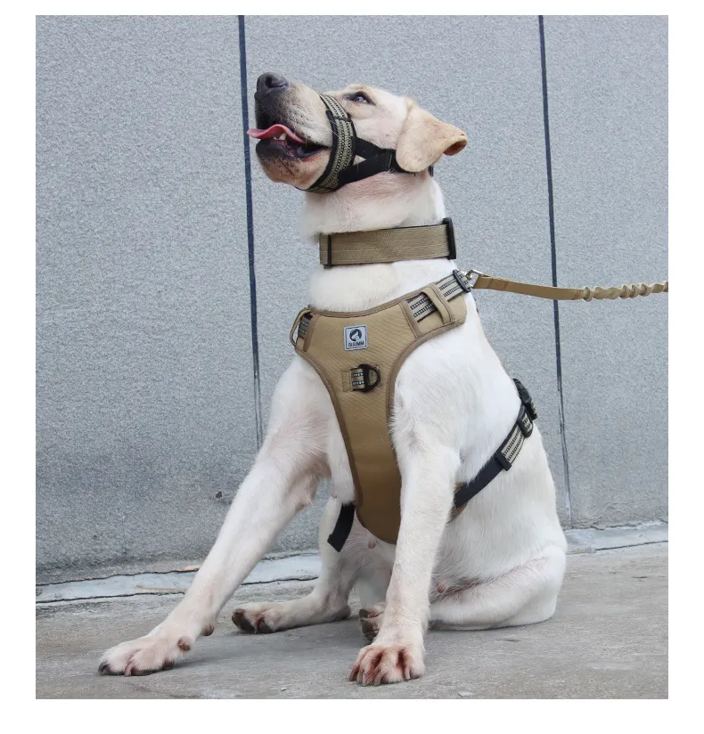 Novo conjunto de arnês tático para cães médios grandes explosão sustentável prova Pet fornecimentos e equipamentos ao ar livre uso