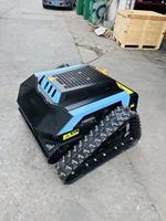 Tondeuse à gazon télécommandée USA Europe DDP CE RC pour pentes, robotiseuse sur chenilles EPA