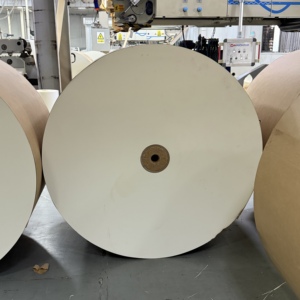 Rouleau de papier couché PE blanc pour gobelets et bols à salade, prix usine Chine, pour machines de fabrication de gobelets à café - Product Image 3