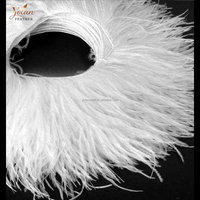 Frange en plumes d'autruche teintes sur mesure en gros sur cordon, 6-20 cm par mètre, pour la confection de costumes, robes, décorations de mariage et de fête