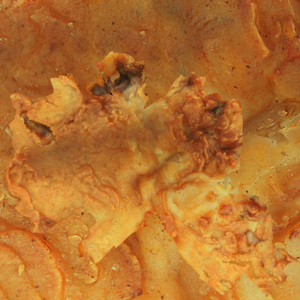 Hot đúp hai giỏ 4L + 4L kỹ thuật số không dầu đối lưu lò vi sóng nướng hâm nóng hơi nước điện lò nướng lò nướng nồi chiên không khí - Product Image 5