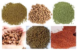 Piccola scala Pellet cibo per pesci/di alimentazione che fa la macchina impianto di produzione di linea di lavorazione - Product Image 3