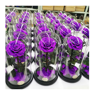 <span class=keywords><strong>Rose</strong></span> conservée en verre, articles pour cadeau parfaits, <span class=keywords><strong>Rose</strong></span> enchantée, <span class=keywords><strong>la</strong></span> <span class=keywords><strong>belle</strong></span> <span class=keywords><strong>et</strong></span> <span class=keywords><strong>la</strong></span> bête - Product Image 2