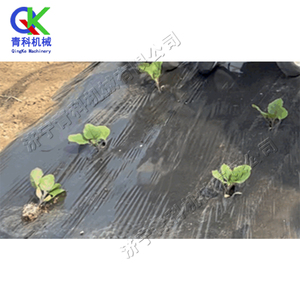 Máquina de Plantación Autopropulsada Profesional en Oferta, Versátil para Semillas de Vegetales - Product Image 5