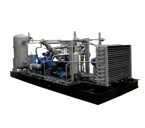 CNG Natural Gas Compressor For CNG Natural Gas Automobile Parent Fuelling Station