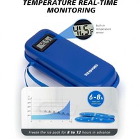 Petite sacoche isotherme pour insuline, antichoc, en EVA rigide, avec affichage de la température, pour stylos et crayons, pochette de rangement isolée pour voyage, 12+