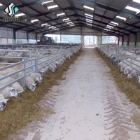 Étable à chèvres préfabriquée bon marché à prix d'usine avec abri design pour ferme laitière pour bovins et caprins vivants