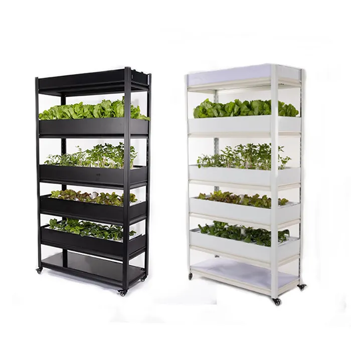 Hydroponic לגדל מערכת בקרת מקורה עם אורות אינטליגנטים לנטיעת ירקות