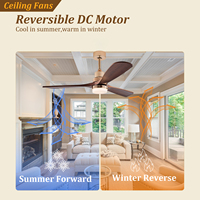 Ventilateur de plafond moderne en bois massif, durable, avec moteur DC et télécommande, avec lumière intégrée – Offre spéciale fabricant