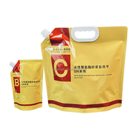 Sac en plastique portable pour aliments, qualité alimentaire, pour utilisation avec des solutions chimiques, 5L 500ml, avec bec verseur, pour boissons liquides, emballage de boissons