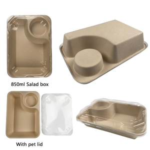 Bandeja Rectangular Grande Biodegradable y Compostable para Alimentos, Desechable, Resistente al Agua y al Aceite, para Carne, Papas Fritas, Pasteles, de Bagazo de Caña de Azúcar - Product Image 2