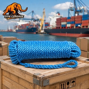 <span class=keywords><strong>Corde</strong></span> torsadée à 3 brins en monofilament PP/PE pour l'emballage, la reliure et les navires marins - Product Image 1