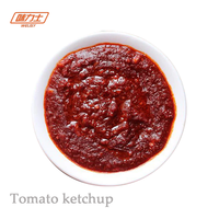 Ketchup biologique personnalisé à succès, sauce tomate, concentré de tomate, sauce ketchup, concentré de tomate