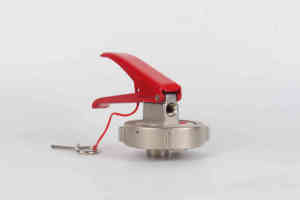 Chất Lượng Cao Brass Bột Bình Chữa Cháy Van Bình Chữa Cháy Van Bình Chữa Cháy Van Các Bộ Phận Phụ Kiện Cho Lửa - Product Image 3