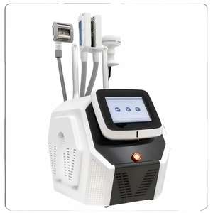 Produtos em Alta 2026: Máquina de Criolipólise com 4 Manípulos, Máquina de Emagrecimento com Polia de Cabo Duplo, Equipamentos de Beleza para Emagrecimento, Novas Tecnologias - Product Image 6