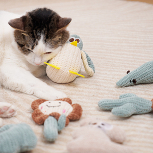 Juguete masticable de hierba gatera de autoentretenimiento ecológico duradero, suministro interactivo y de movimiento para mascotas para gatitos - Product Image 2