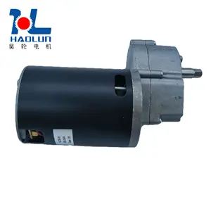 Vendita calda 300W 220V-240V 70r/min Dc Gear Oil Press Machine magnete permanente DC motoriduttore elettrico a vite senza fine