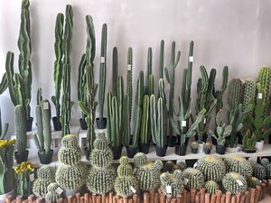 Các nhà sản xuất bán buôn lớn màu xanh lá cây sàn nhà máy đồ trang trí, cửa sổ chậu sa mạc PU XƯƠNG RỒNG - Product Image 3