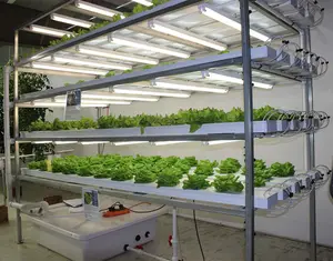 Novo produto agricultura casa verde nft hidropônico