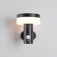 Lampe solaire LED décorative noire en acier inoxydable avec détecteur de mouvement, étanche, rechargeable, à intensité variable, pour mur extérieur
