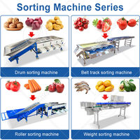 ORME Automatische Aardappel Ui Palmvrucht Dadel Sorteermachine Blauwe Bes Citrus Mango Maat Sorteer- en Graderingsmachine