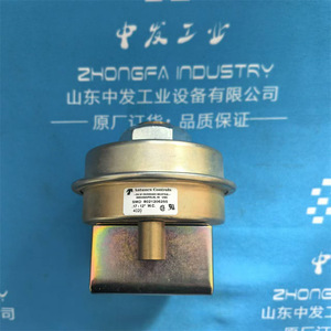 สวิตช์ควบคุมแรงดันลม Antunes รุ่น SMD8021206255 IP54 พร้อมฟังก์ชั่นล็อคตัวเอง - Product Image 3