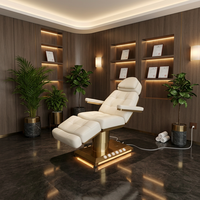 Table de massage électrique de luxe à commande monoposte pour spa et salon, idéale pour esthéticiennes, soins du visage, esthétique et extensions de cils