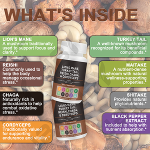 JBY 天然栄養補助食品 マッシュルームサプリメントカプセル マッシュルームノオトロピックカプセル - Product Image 5