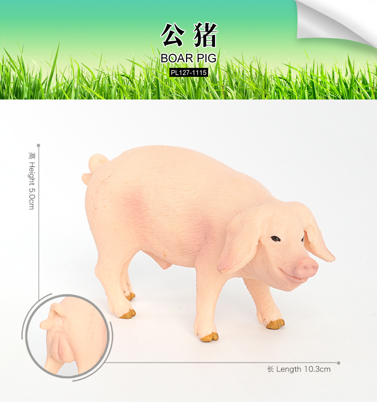 1115 Cochon de sanglier