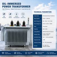 2. 10kVA Yağlı Tip Dağıtım Trafosu S13-M-1000 10.5kV/0.4kV 3 Fazlı Dyn11 5 Kademeli Tap Değiştirici Bakır Sargılı