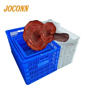 multi functional mushroom incubation container mushroom crate plastic basket tray for sale