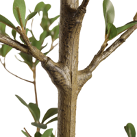 Arbre d'olivier artificiel réaliste de 120 cm, faux bonsaï d'olivier, plante artificielle pour la décoration intérieure de la maison et du jardin