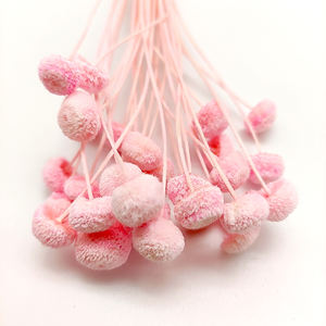 Fleurs séchées décoratives à bas prix, vente en gros, uk mini, vrai petit bouton naturel, fleurs séchées pour la décoration - Product Image 3