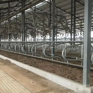 Bucles para diario, sin vaca - Product Image 1