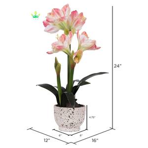 <span class=keywords><strong>Amaryllis</strong></span> artificiel rose en pot rond en céramique, arrangement en plastique et céramique <span class=keywords><strong>de</strong></span> qualité supérieure et durable pour la décoration <span class=keywords><strong>de</strong></span> table à la maison ou au bureau - Product Image 4