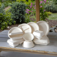 Assiette jetable en fibre de bagasse de canne à sucre biodégradable et compostable pour les fêtes – Vente en gros