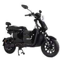 Usine chinoise 1000W/800W cyclomoteur électrique à 3 vitesses et moto Smart EBike Absorption des chocs avant arrière pour adultes conduite en ville