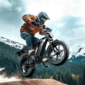 Vélo <span class=keywords><strong>électrique</strong></span> de 48v, 15ah, 20ah, 25 km/h, 750w, 20 pouces, gros pneu, 750w, entrepôt européen, Fatbike, Dirt Bike pour adultes - Product Image 2