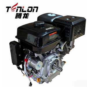 <span class=keywords><strong>Moteur</strong></span> à essence 192F 13,5/16 CV - 439 cm³ refroidi par air OHV avec démarrage électrique pour pompes, motoculteurs et équipements de construction - Product Image 2