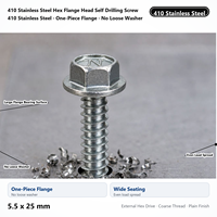 Vis autoperceuse à tête hexagonale en acier inoxydable 410, 5,5 x 25 mm, autotaraudeuse, pour fixation de toiture et garde-corps extérieur