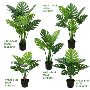 Plantes <span class=keywords><strong>albo</strong></span> Monstera de 90cm, décoration pour le jardin, la maison - Product Image 5