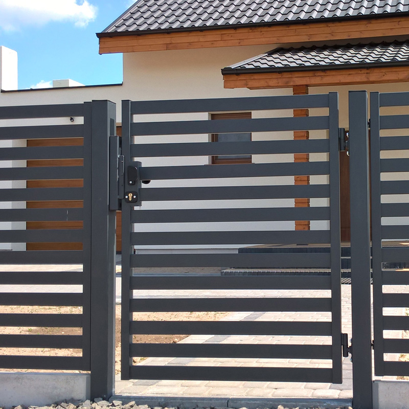 Puertas y cercas de acero y Metal de aluminio para entrada, cercado de hierro forjado de doble oscilación, pequeños, últimos diseños de puerta principal para patio